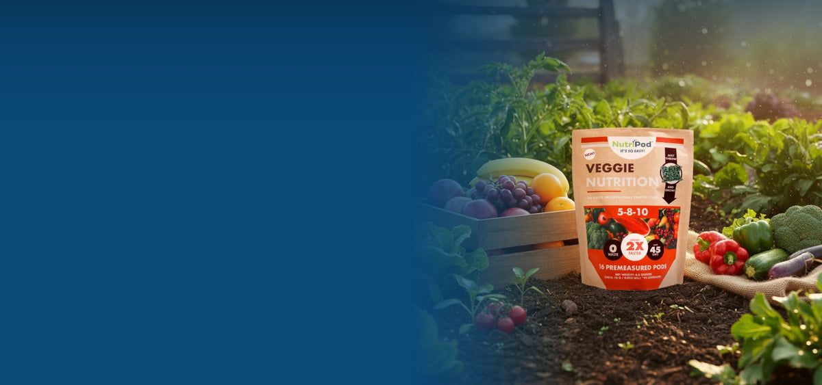 Precise Plant Nutrition