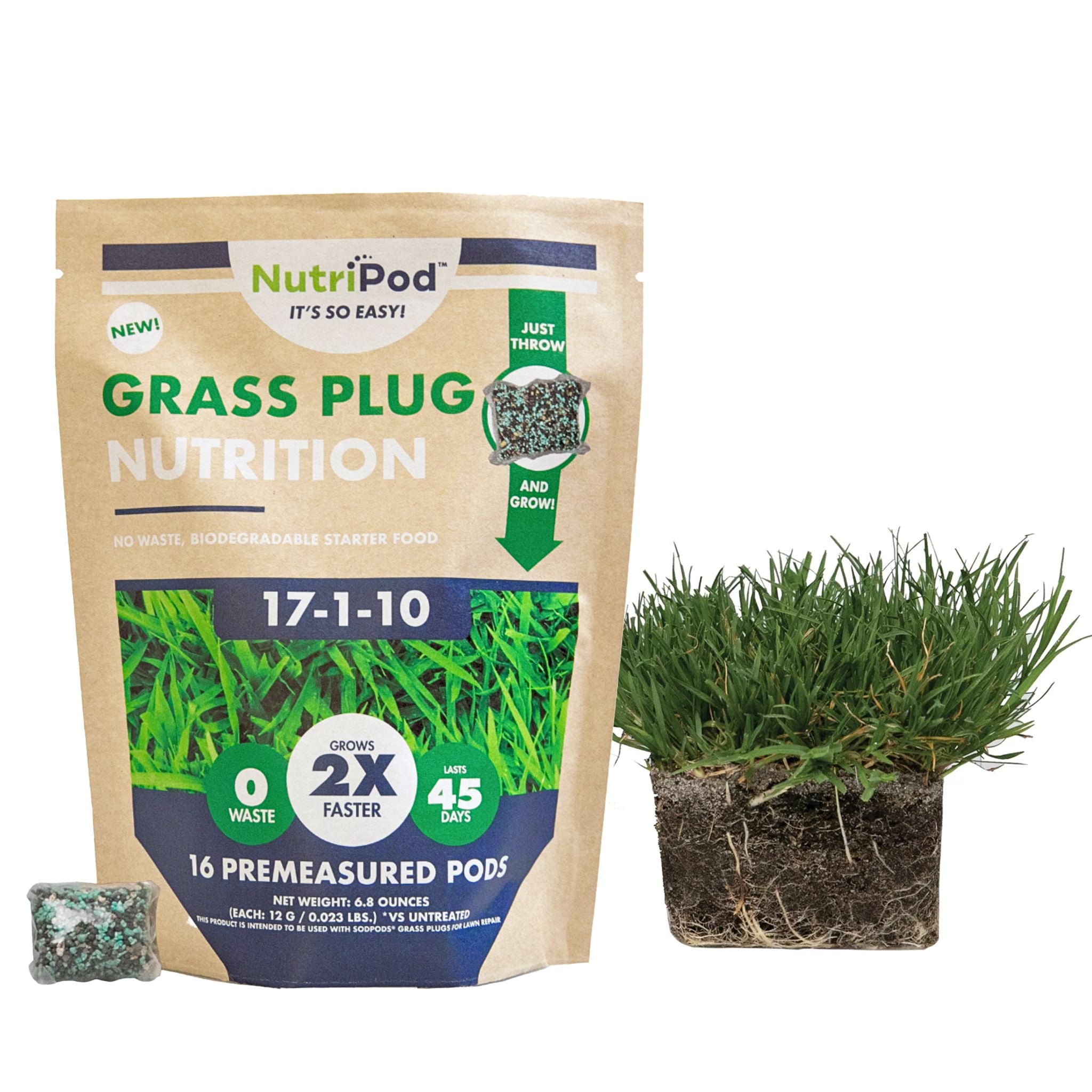 starter fertilizer for bermuda grass