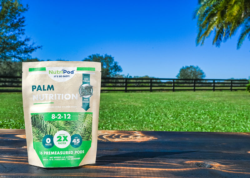 Palm Nutrition