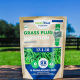 Grass Plug Precise Plant Nutrition