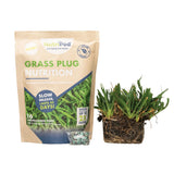 Seville Grass Plug/NutriPod Bundle