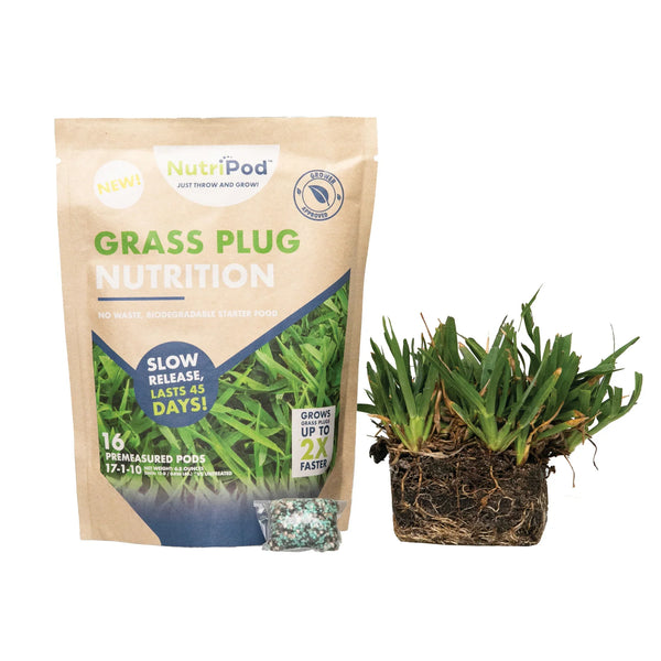 Floratam Grass Plug/NutriPod Bundle