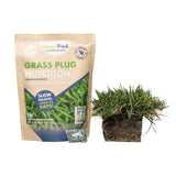 Zoysia Grass Plug/NutriPod Bundle