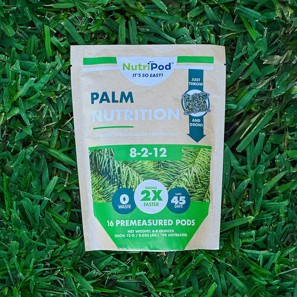 plant food for palm plant NutriPod for Palm Trees